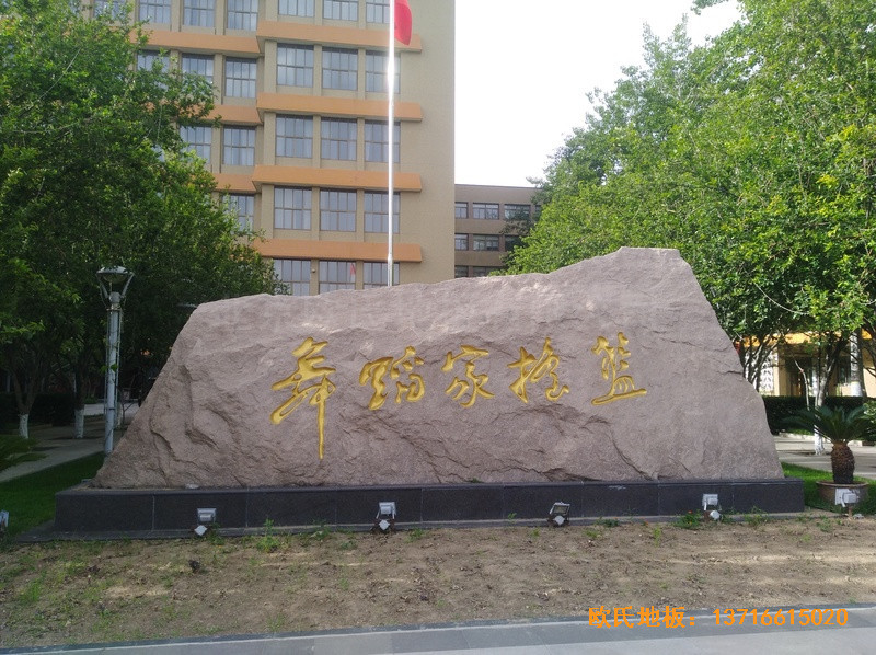 �����赸�WԺ�w���ذ尲�b����