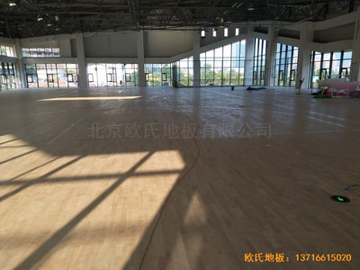 �Ĵ����e���R�ی��WУ�w���^�\��ľ�ذ尲�b����